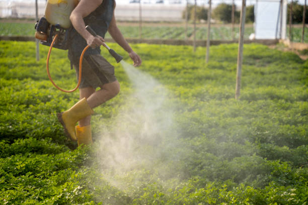 Best Exterminator Services  in Brigham City, UT