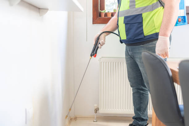 Best Pest Control for Homes  in Brigham City, UT