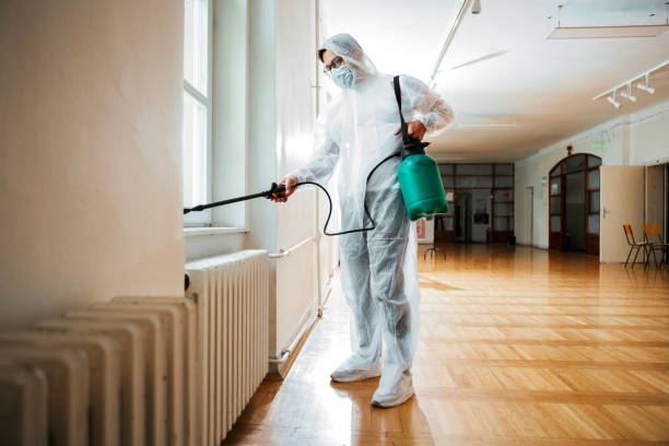 Best Mosquito Control Services  in Brigham City, UT